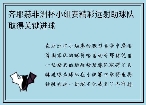 齐耶赫非洲杯小组赛精彩远射助球队取得关键进球